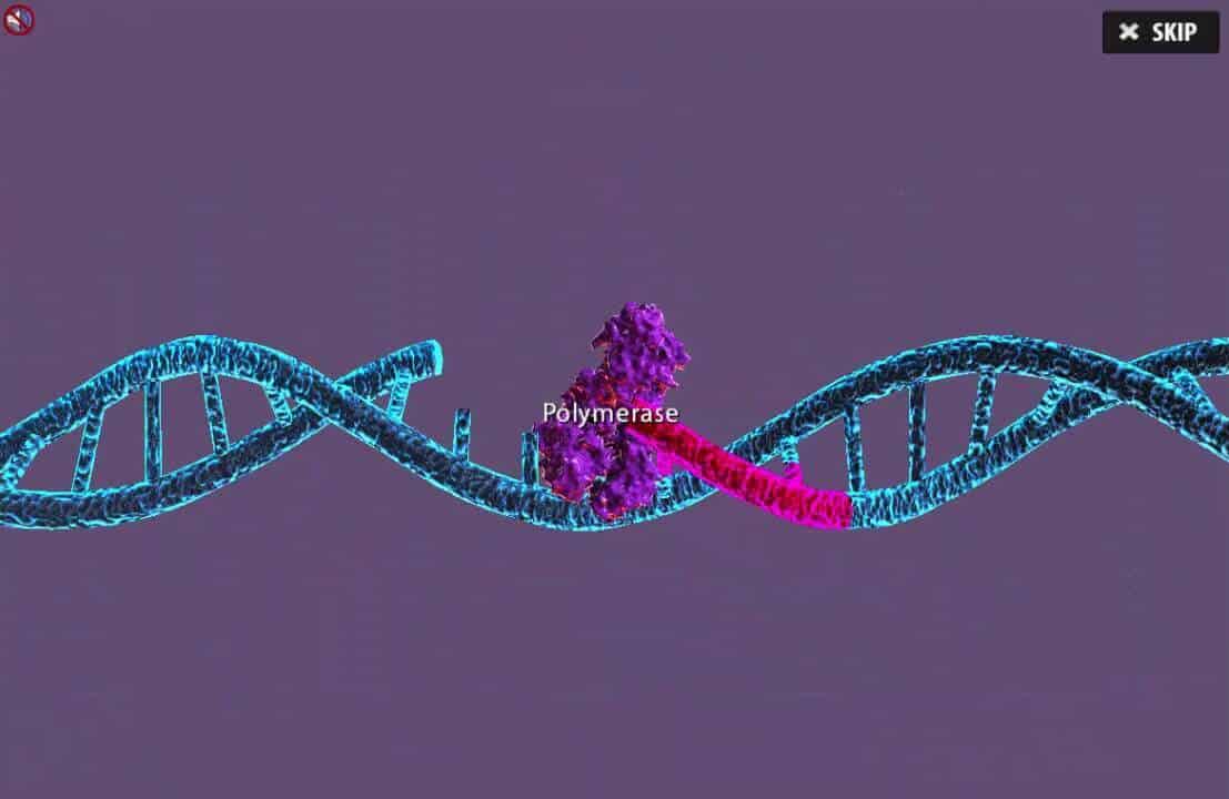 Virtual Lab Molecular Cloning Virtual Lab Labster