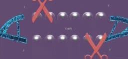 Molecular Cloning
