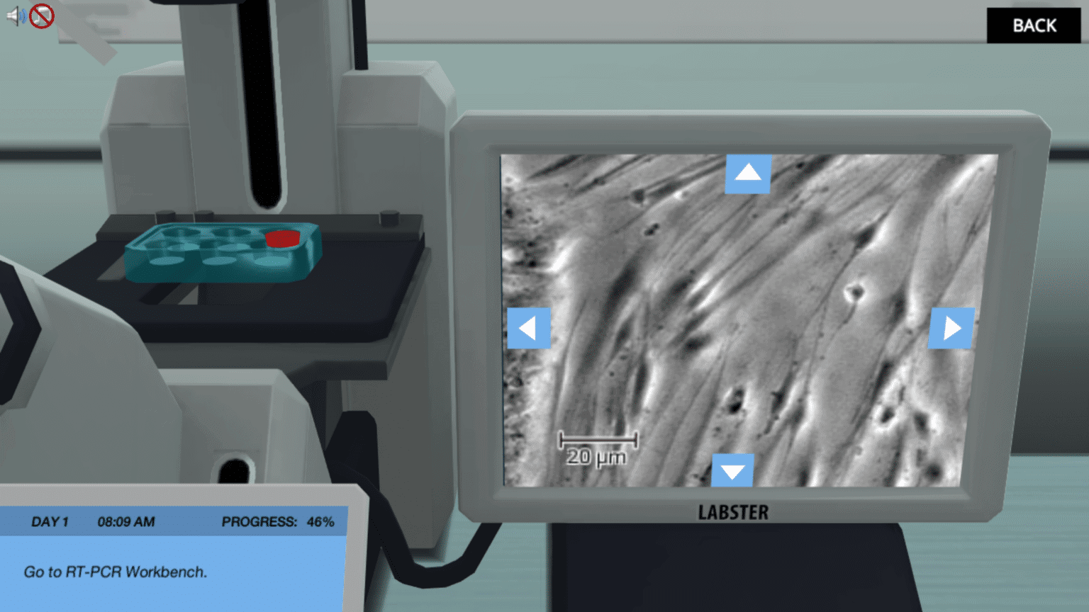 Virtual Lab Gene Regulation Simulation Virtual Lab Labster