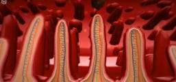 Your Diet and Your DNA