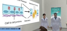 CRISPR-Cas applied to TGF-beta induced EMT