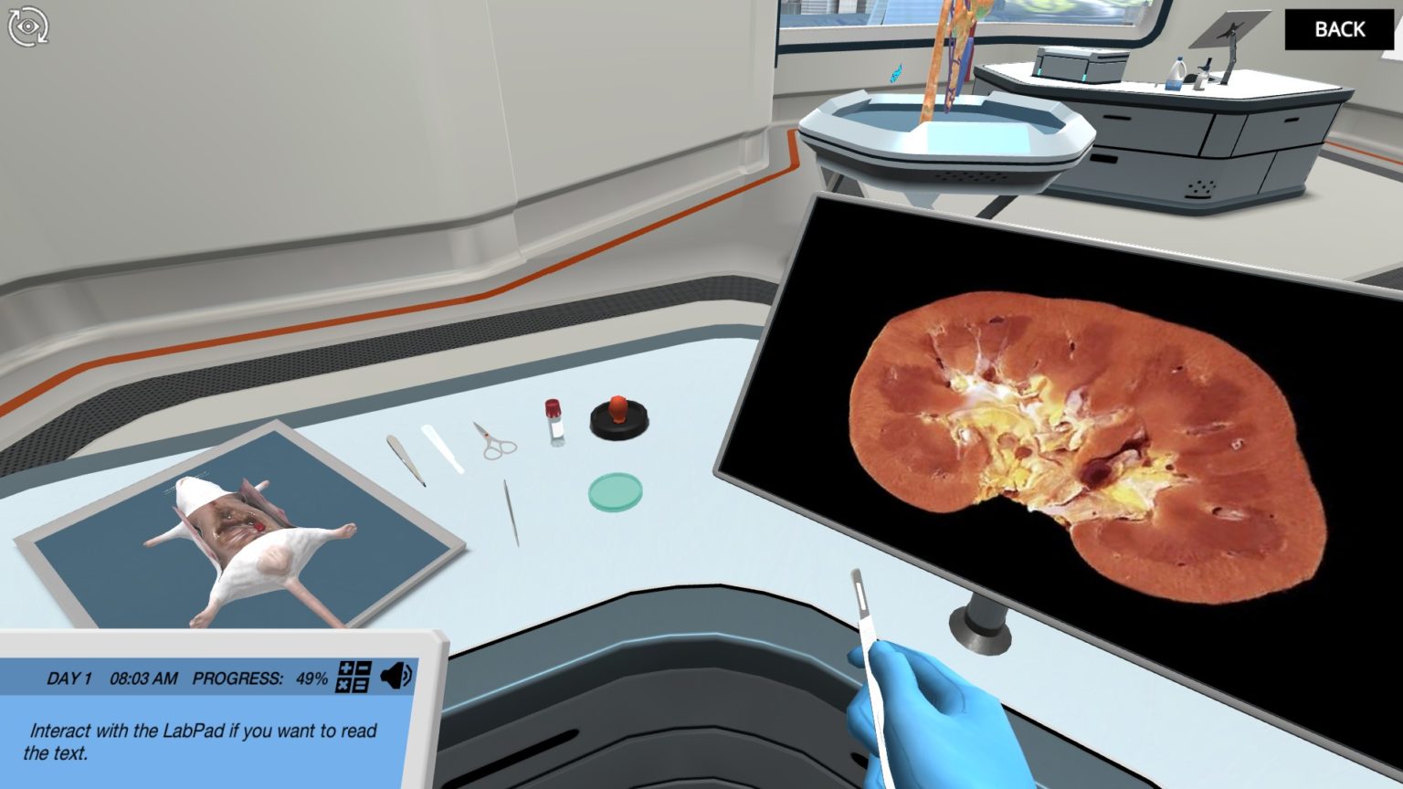 Renal Physiology Find the mode of action of a diuretic drug Labster