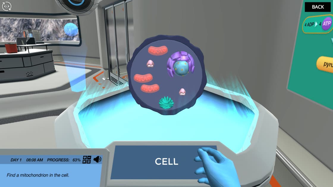 Cellular Respiration (Principles)