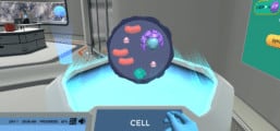 Cellular Respiration (Principles)