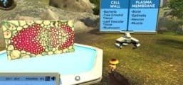 Cell Structure