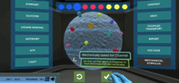 Cell Membrane and Transport