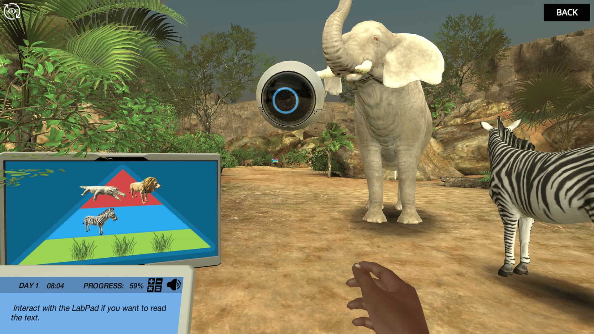 image from Trophic levels virtual lab