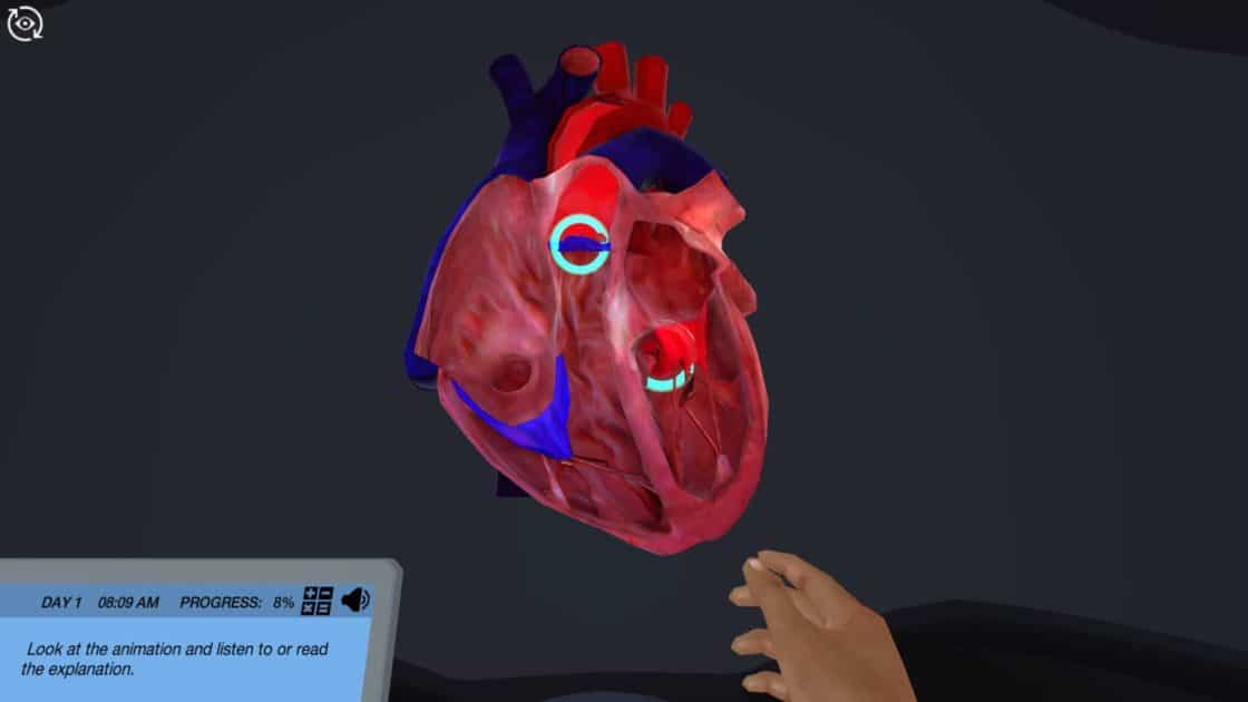 image from echocardiography virtual lab