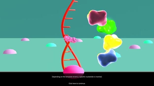 image from bioinformatics virtual lab