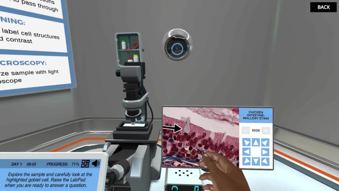 image from Light Microscopy virtual lab