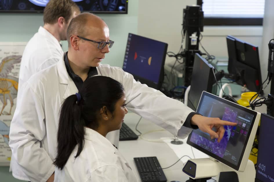Professor Donald Wlodkowic with students in his lab