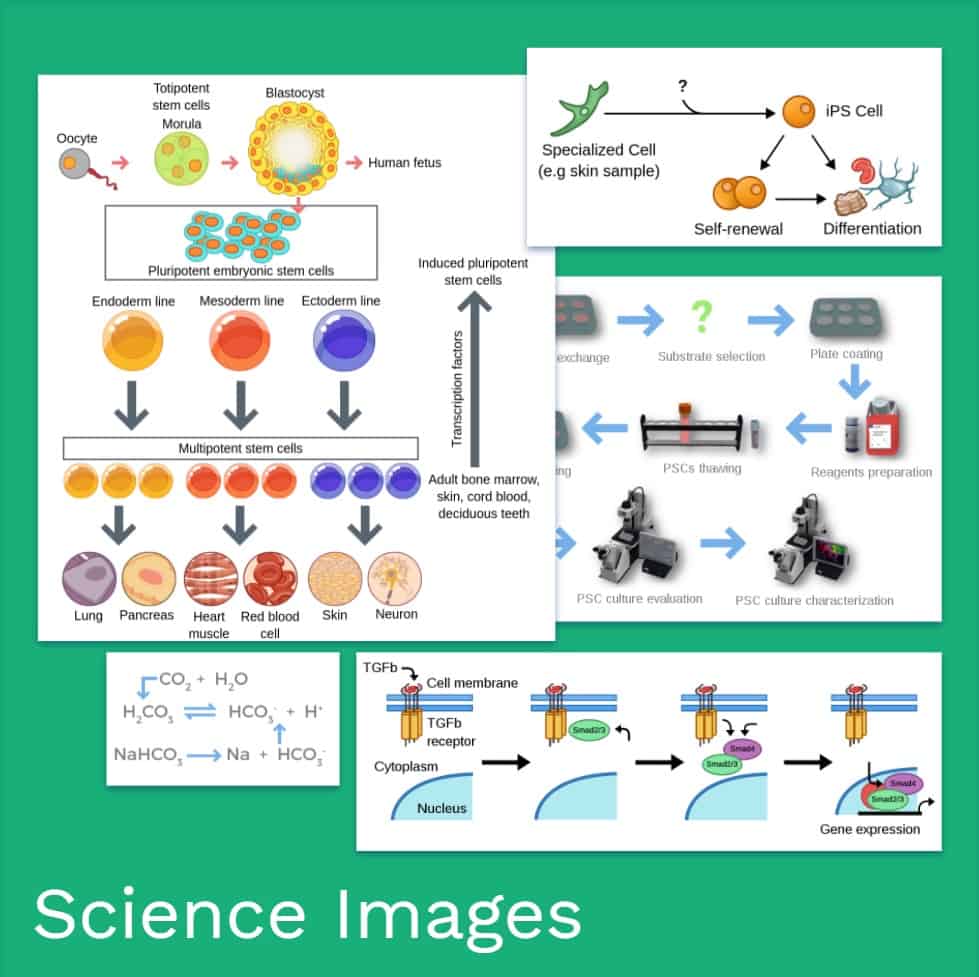 New Products Landing Page Labster