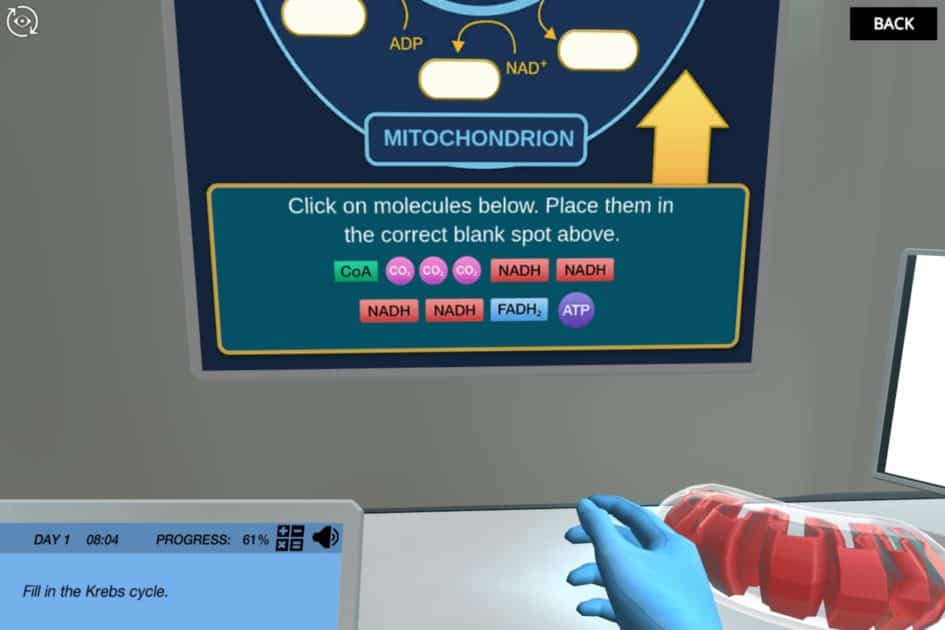 Cellular Respiration The Krebs Cycle (NEW) Labster