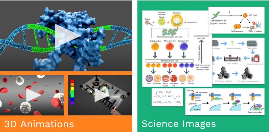 Labster 3D Animations and Science Images