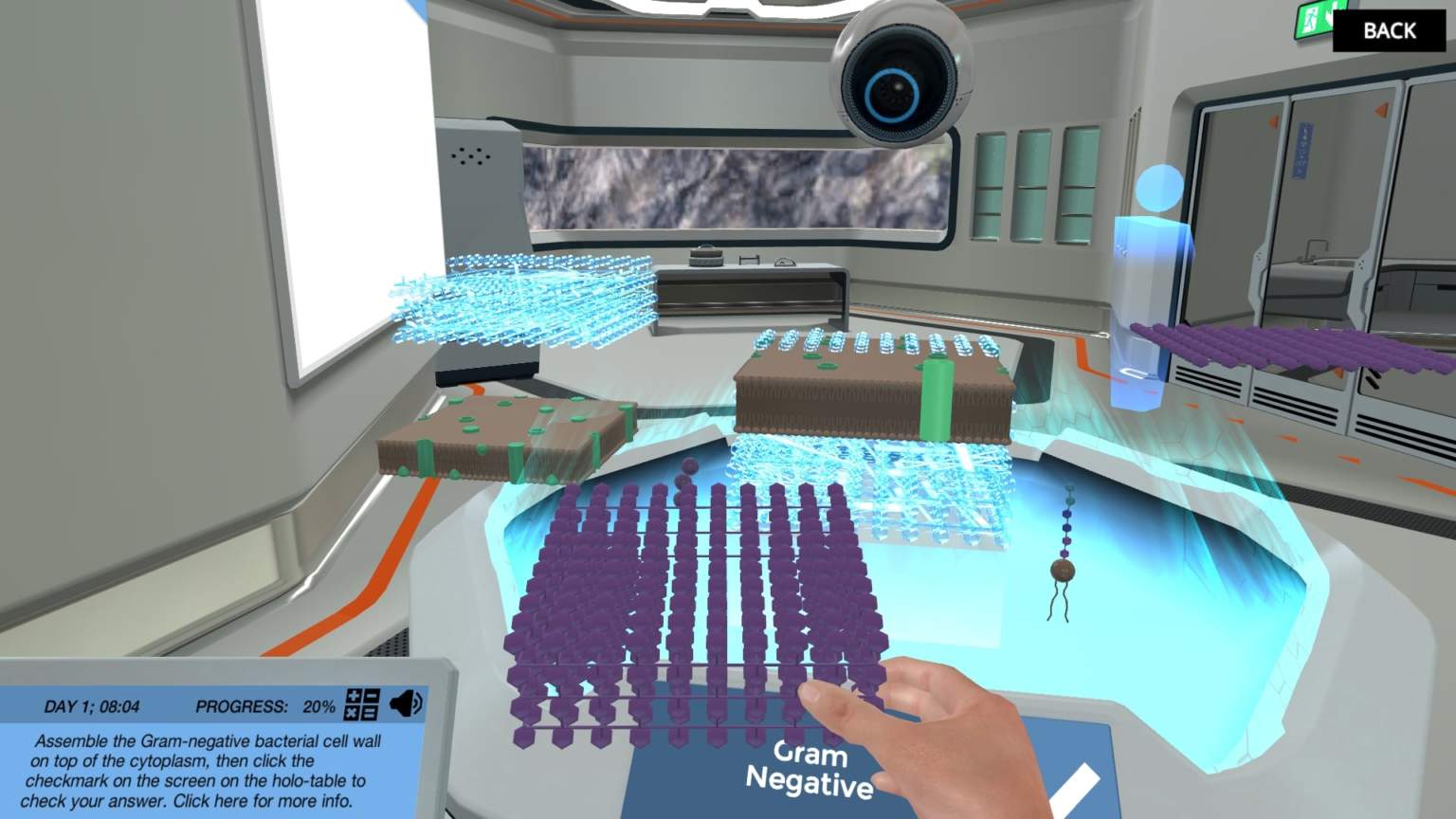 Building Gram Positive and Gram Negative Cell Walls (NEW) Labster