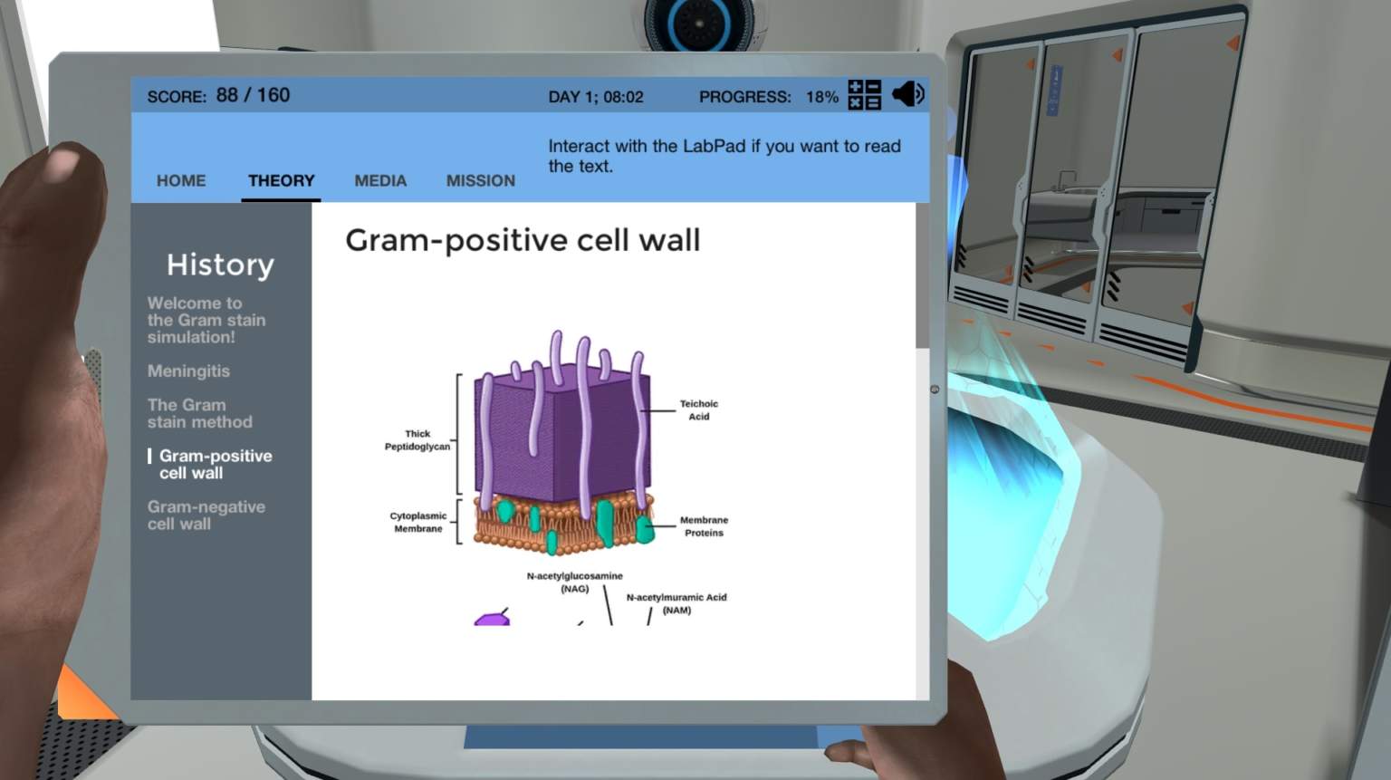 Building Gram Positive and Gram Negative Cell Walls (NEW) Labster