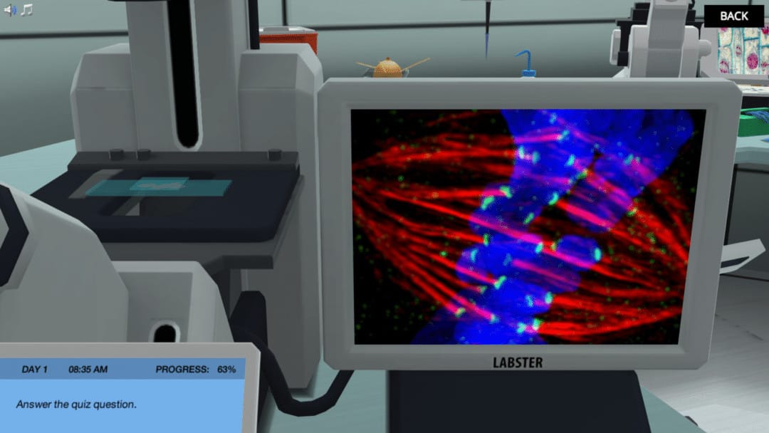 Mitosis – Using a toxic compound from the yew tree in cancer therapy Mitosis - Using a toxic compound from the yew tree in cancer therapy
