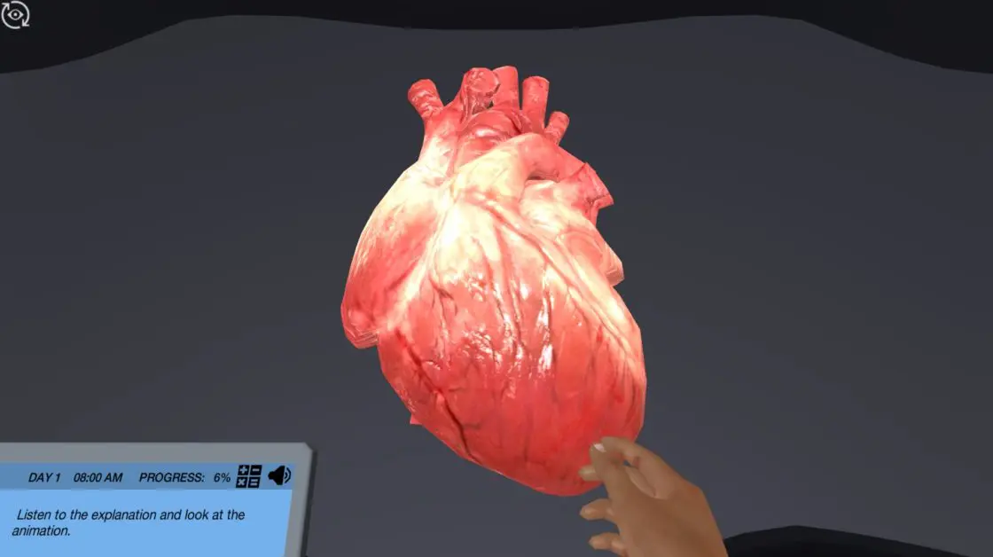 Cardiovascular Function During Exercise – Learn how your body responds to exercise Cardiovascular Function During Exercise - Learn how your body responds to exercise